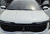 기아 더 뉴 카니발 1.6 터보 HEV 하이리무진