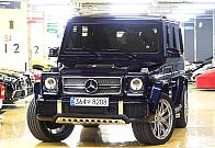 벤츠 G65 AMG 에디션 463